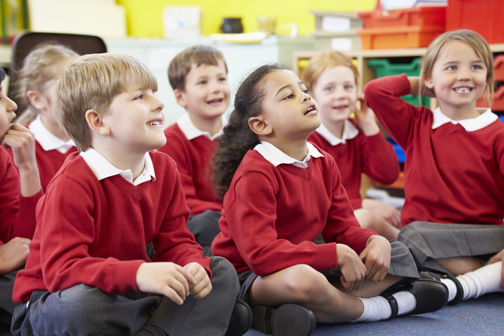 Primary School Teacher Training - School Children in class