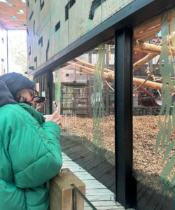 Learning beyond the classroom: Science training day at ZSL London Zoo